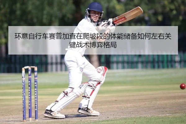 环意自行车赛普加查在爬坡段的体能储备如何左右关键战术博弈格局